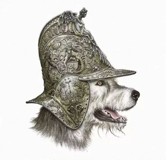 超好看的素描静物,超级惊艳的素描画