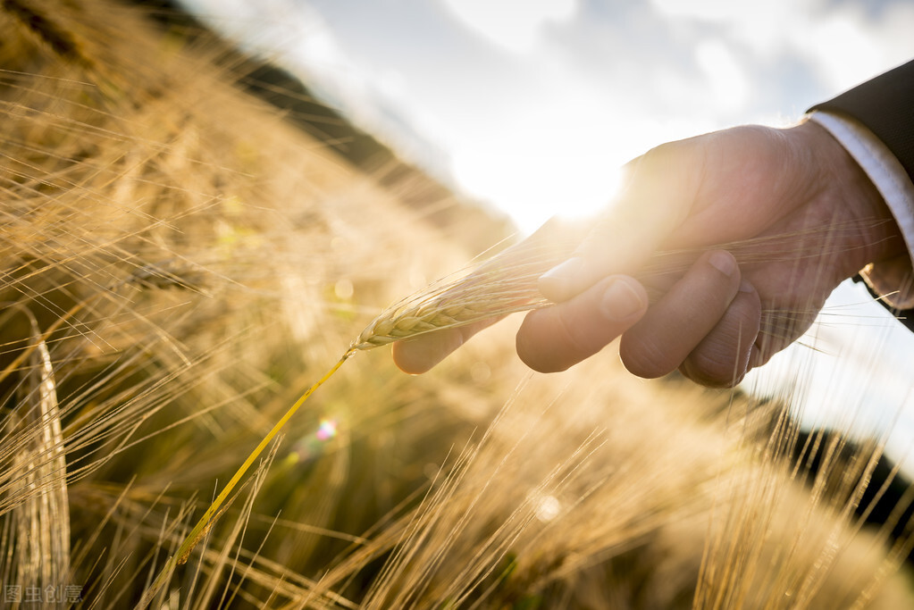 养生大健康产业新模式,大健康产业如何破局