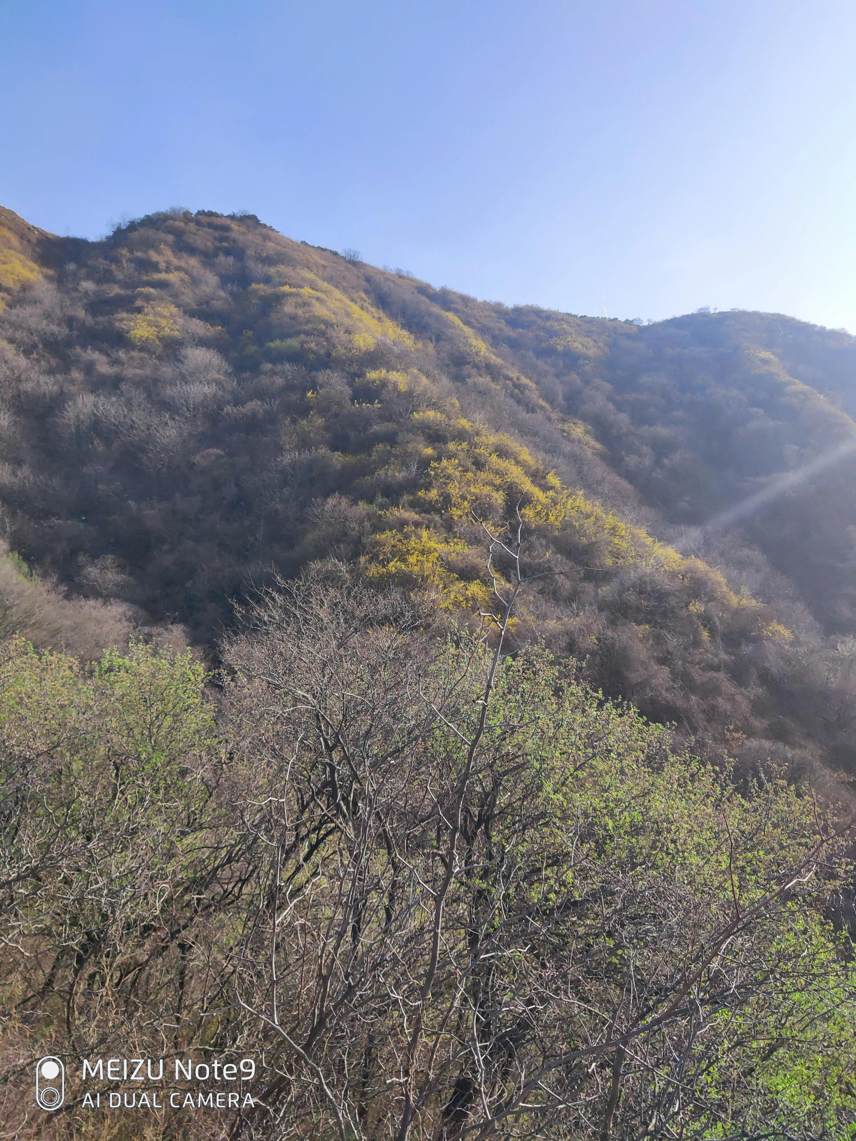 北方人体验回南天漓江,北方人游西溪湿地视频