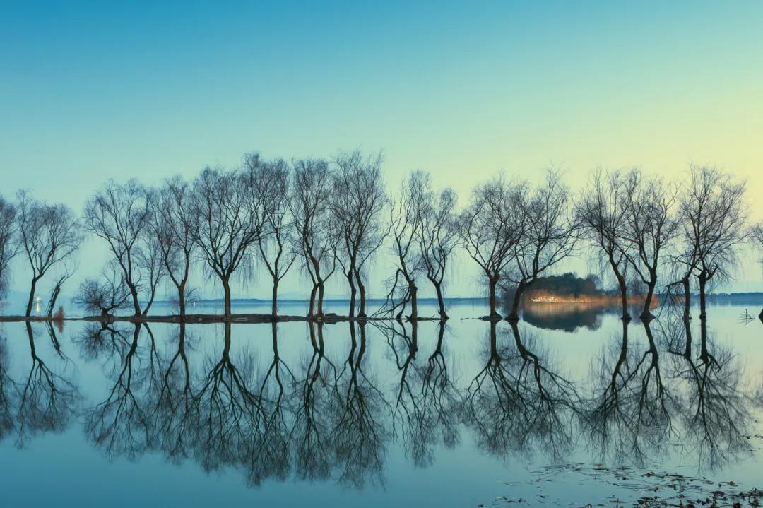 公母螃蟹哪种最好吃,最便宜的螃蟹哪里最好吃