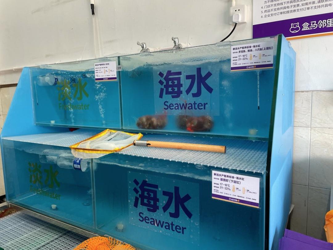 侯毅为什么退出盒马鲜生,盒马鲜生侯毅完整视频