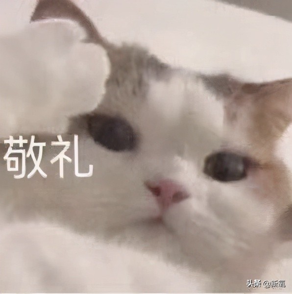 宋祖儿港风绝美照片,宋祖儿侧颜简直太美啦