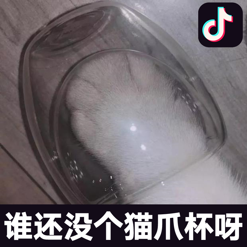 我们是要交智商税的钱多人傻还是被人套路了？网红的樱花猫爪杯