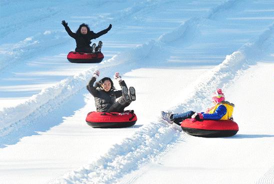 聊城嬉雪乐园泥地,聊城玩雪的地方
