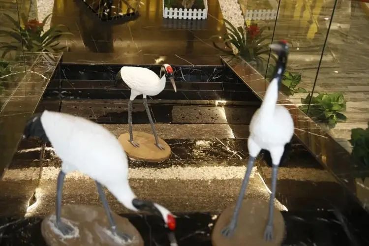 足道299套买一送一,价值269元单人养生足道套餐