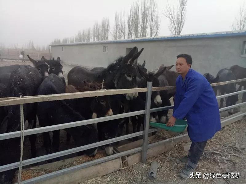 大学生李梦杰的创业记!第一集(原创)