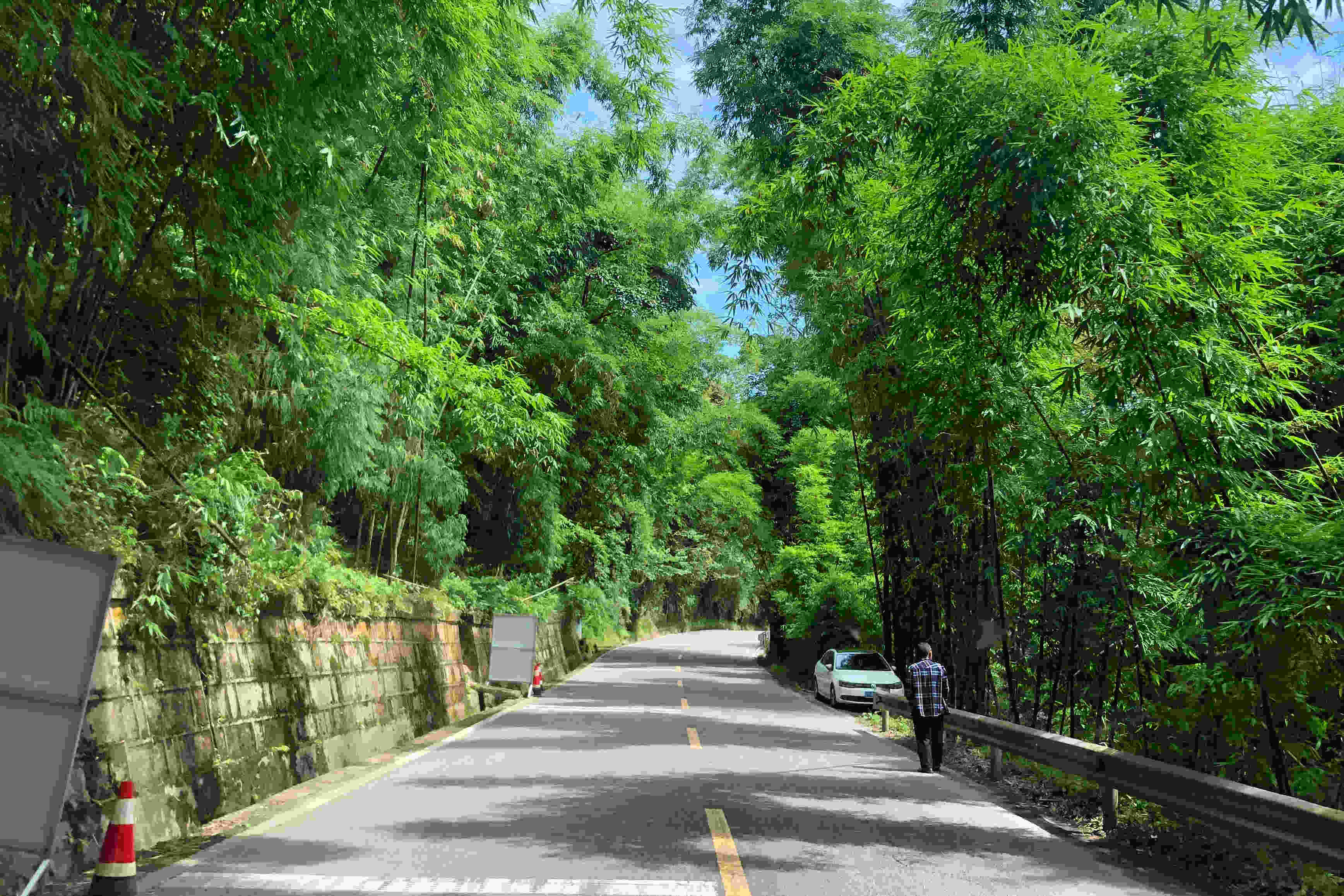 雨城区乡镇名称,雨城区区划