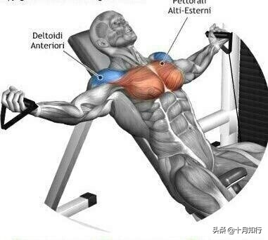 最有效把胸肌练硬训练,把胸肌练厚徒手