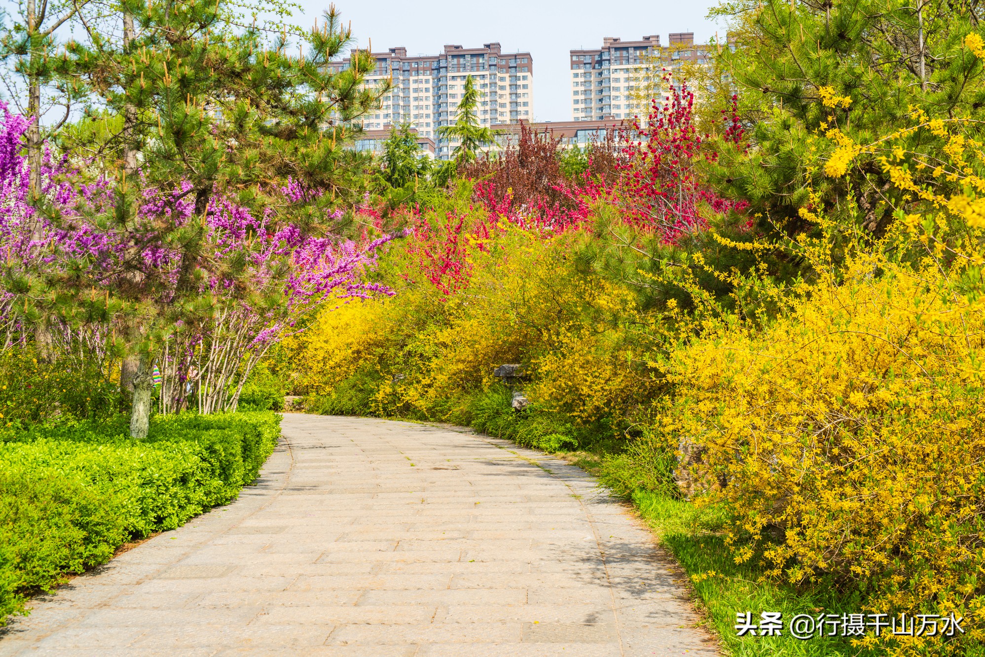 济南森林公园色彩斑斓秋意渐浓,济南今年的森林公园风景如画