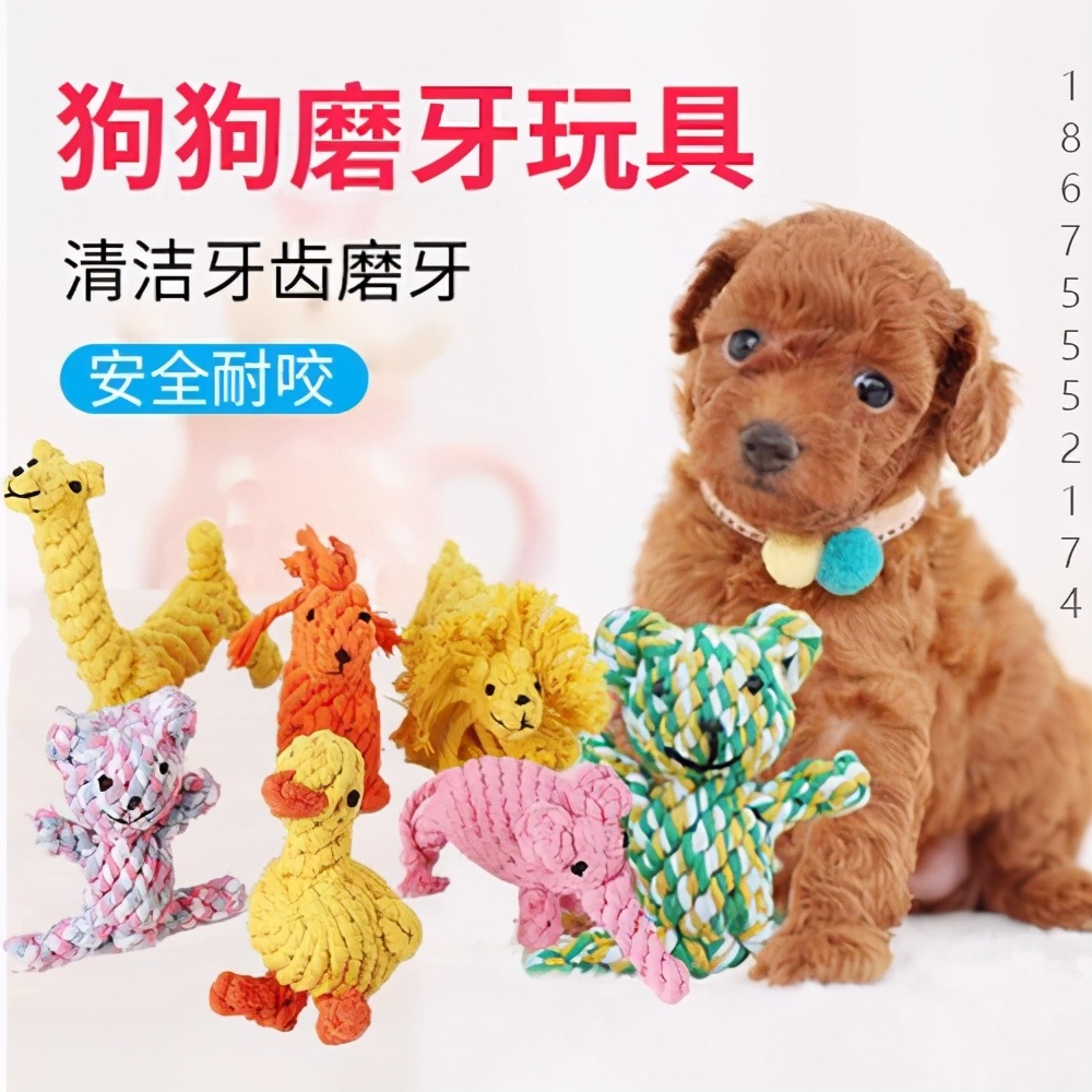 宠物玩具调研报告,宠物食品检测机构cmacnas