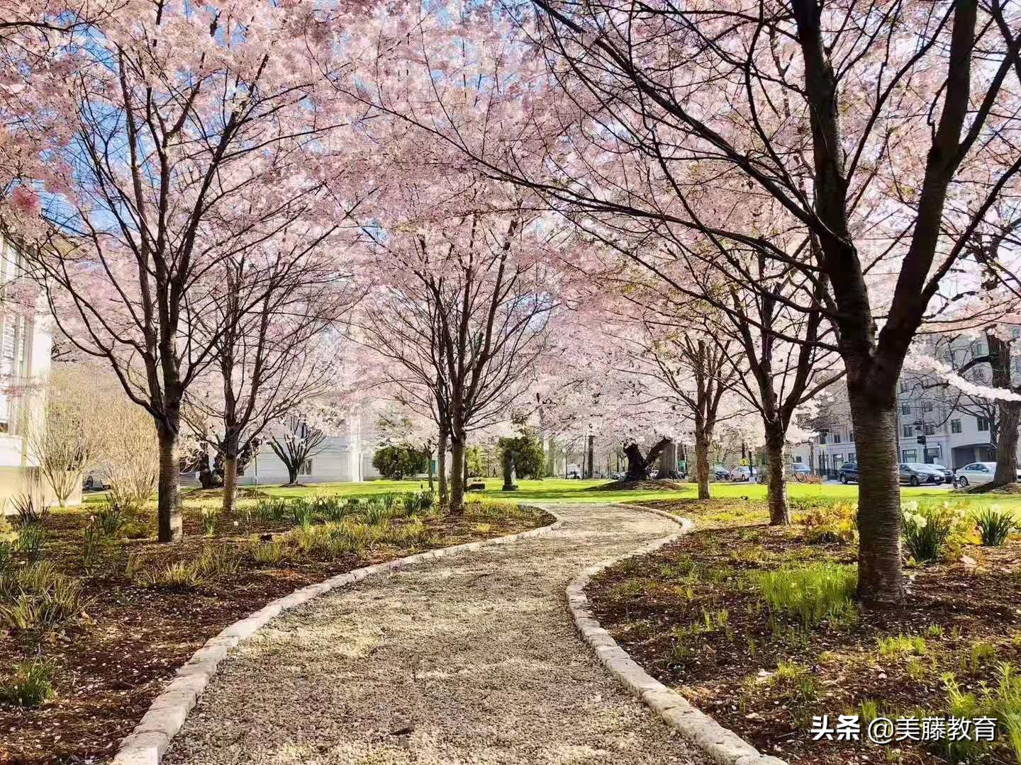 美国硕士申请有哪些文书需要准备,美国硕士申请流程和费用