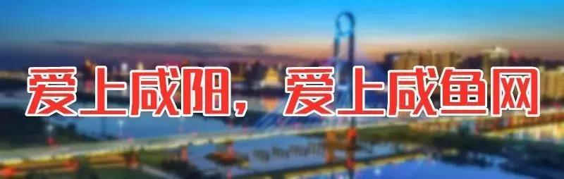7.64万㎡，1200个停车位！新咸阳体育场来了！