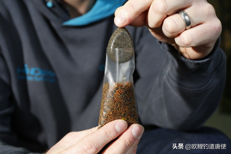 话说欧鲤之钓组篇,话说欧鲤钓