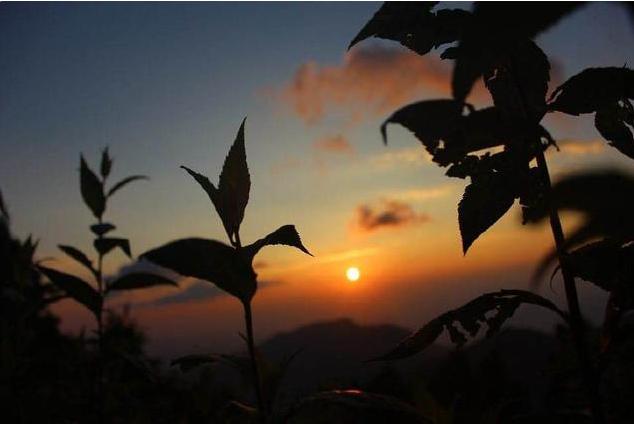 媳妇感冒了老公要求分房睡,儿媳妇感冒了婆婆很关心