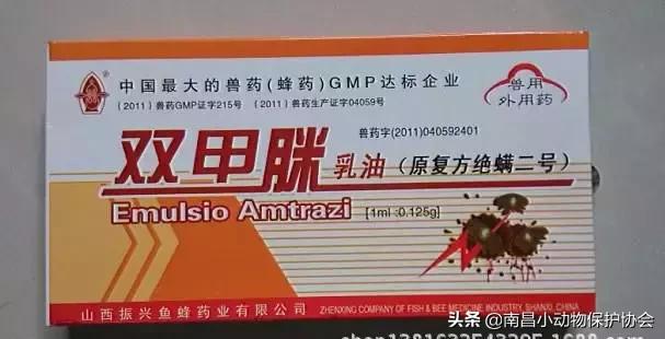 治疗狗皮肤病最见效的药,狗子皮肤病治愈全过程