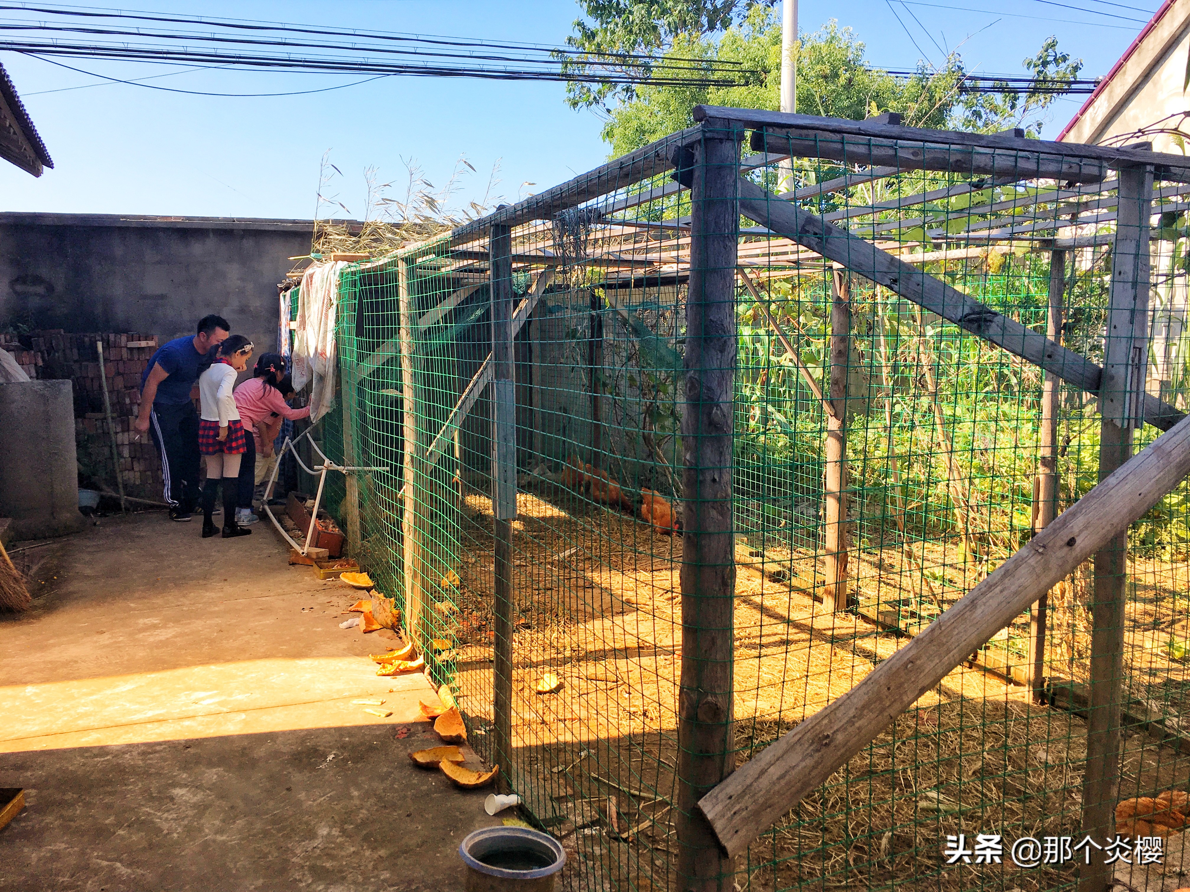 上海崇明农家乐三天二夜推荐,平凡生活琐碎日常油盐酱醋茶