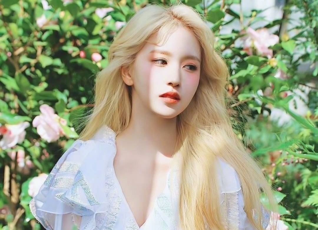 韩娱明星富二代,韩娱出道富二代组合小说