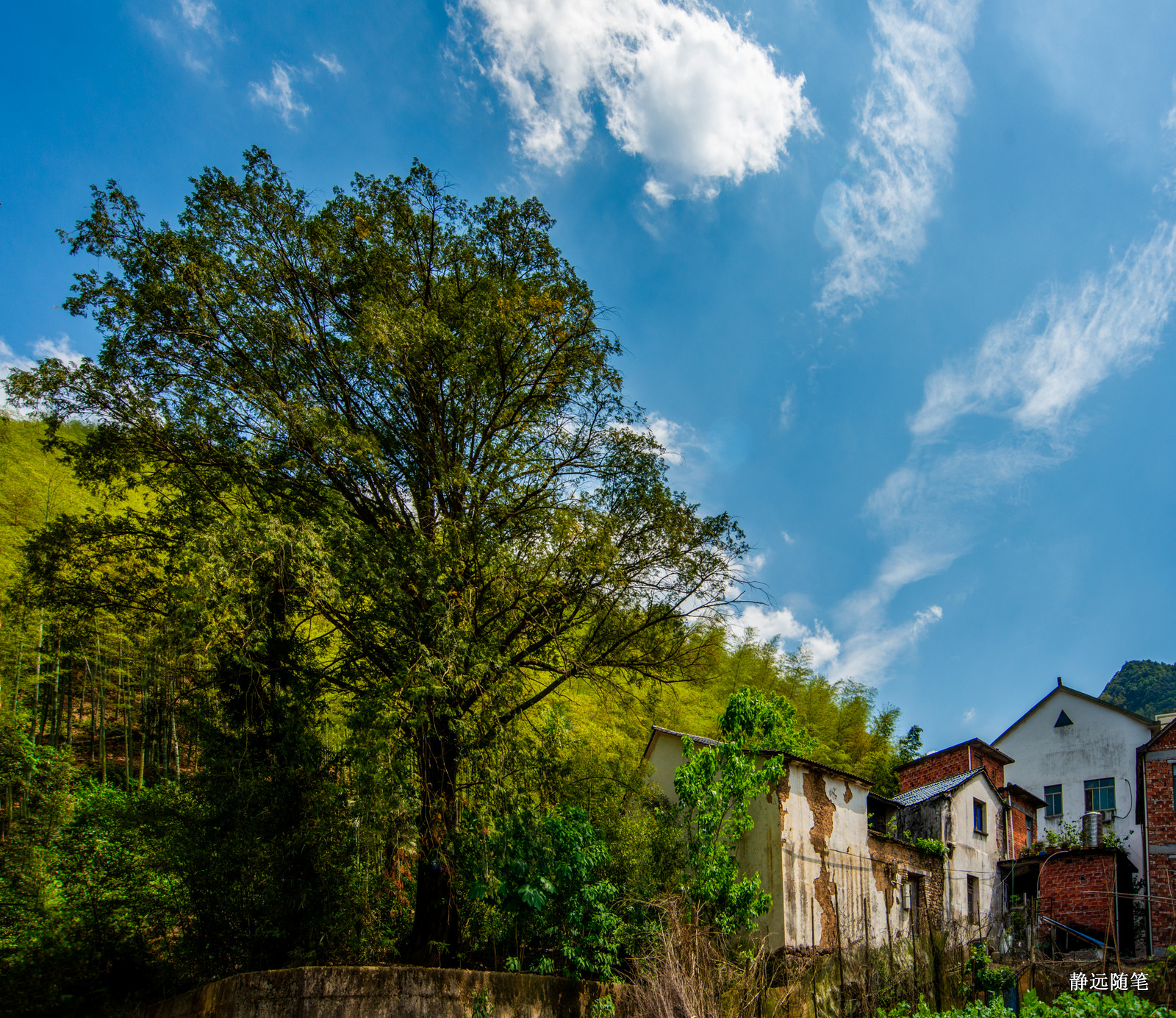 浙江富阳上官球拍有限公司,富阳上官乒乓球拍厂
