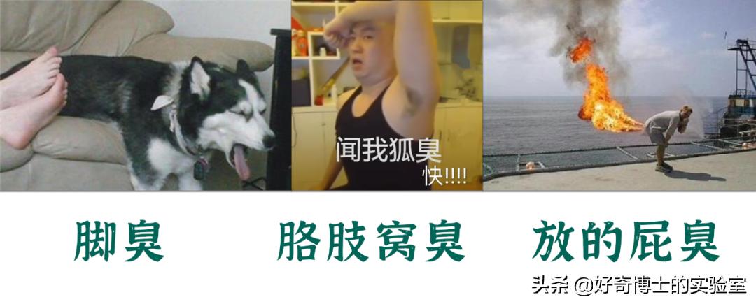 怎么样才能让身上闻起来香香的,怎么能让身体闻着很香