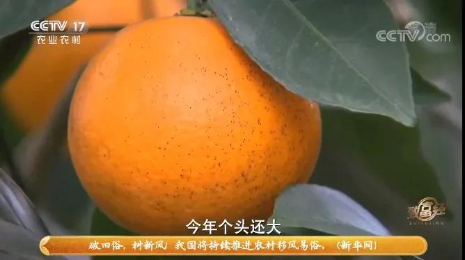 湘潭易湘华,湘潭县易湘华