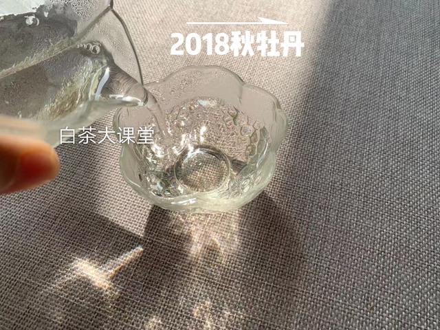 白茶究竟是什么？喜欢茶的你，这三点不妨多看
