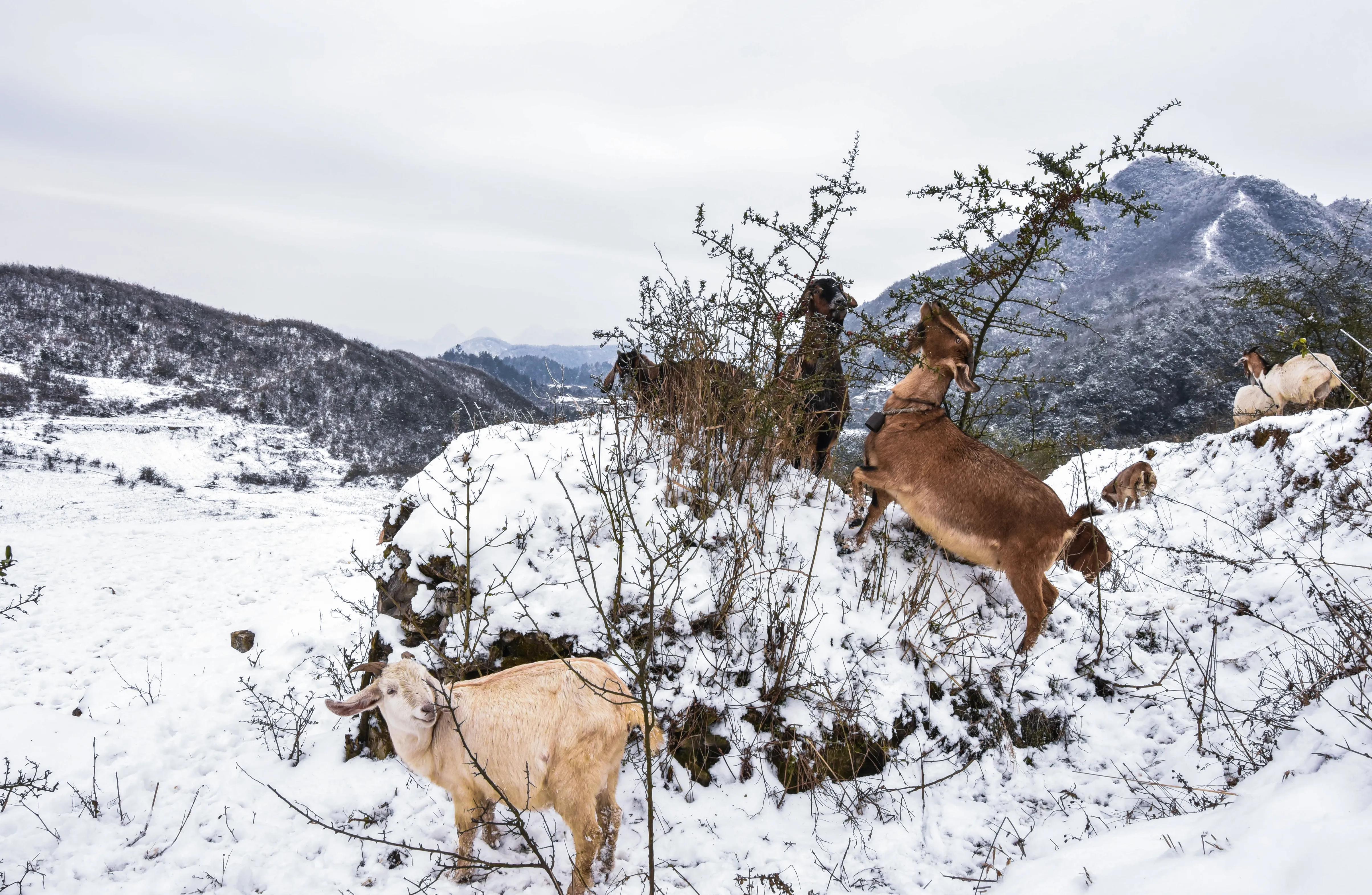 贵州大学1984级管科系同学欢聚毕节录
