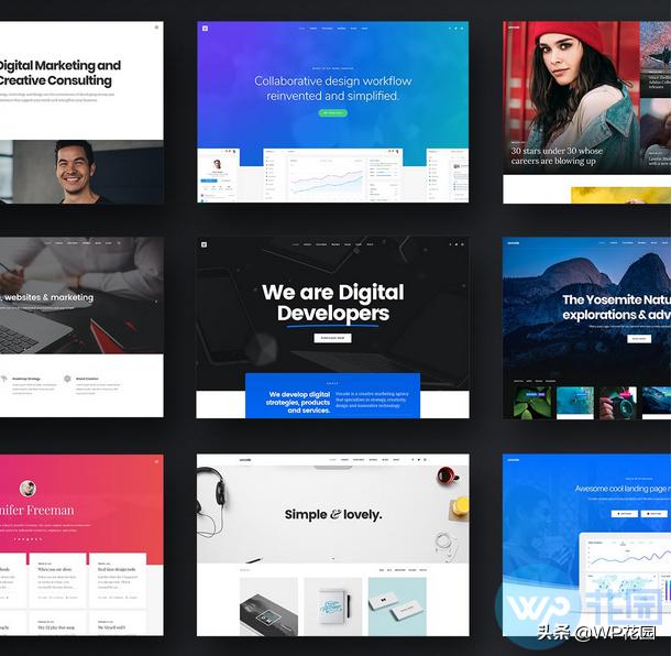 国外正版WordPress模板好不好？21条优点缺点分析，不花冤枉钱！