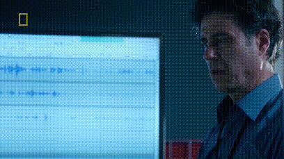 巴西球队遭遇空难沙佩科恩斯,巴西沙佩科恩斯足球