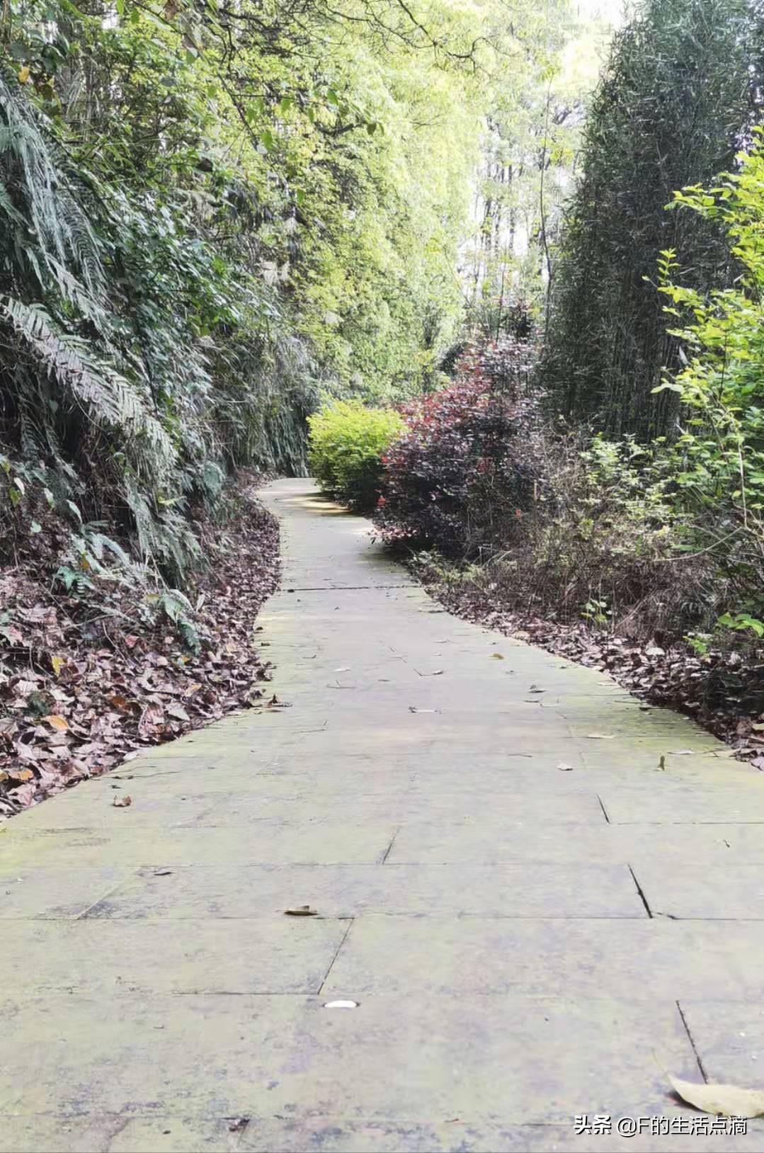 四川泸州是个什么样的地方,四川泸州环境最好的县城