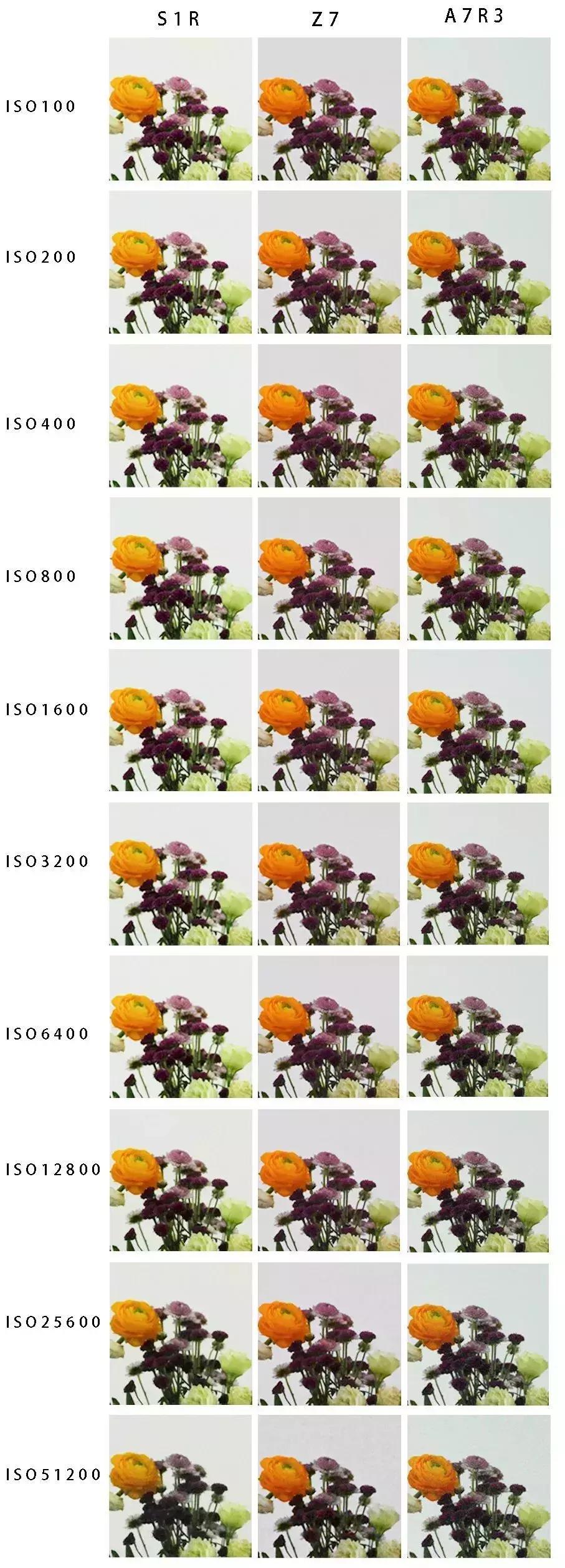 松下尼康索尼,松下vs尼康