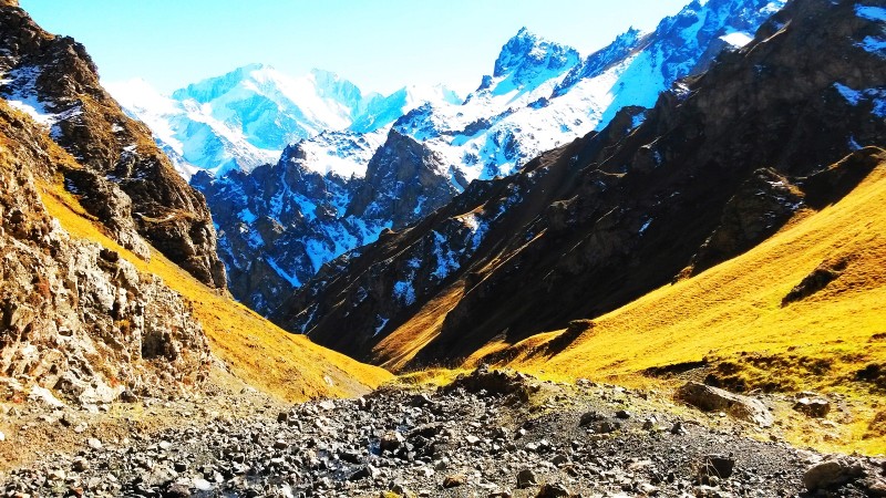 带上UL从狼塔C回家