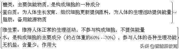 七年级生物下册期末考试知识点,七年级下册生物月考复习提纲