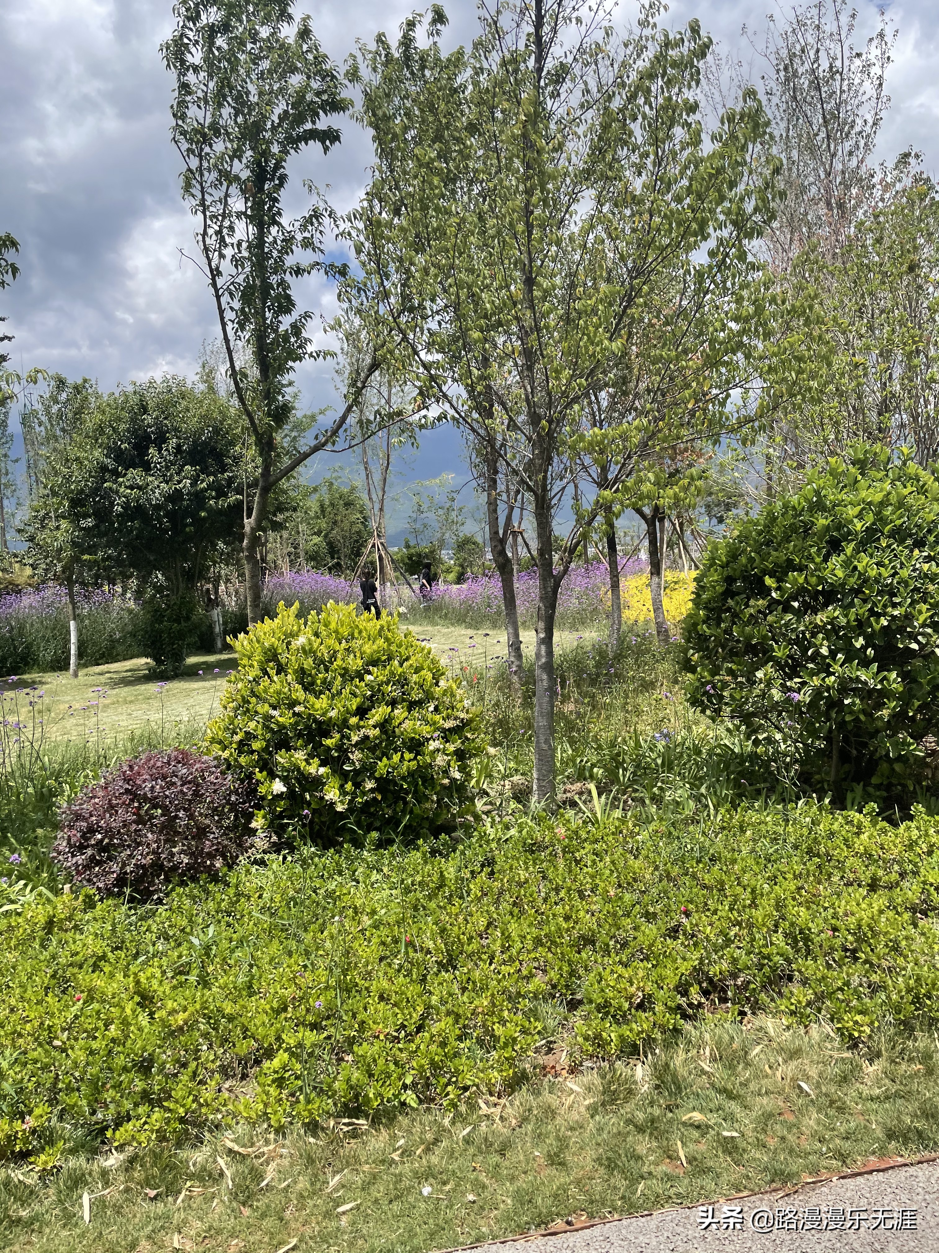 大理洱海8个打卡地,大理洱海畔旅游攻略