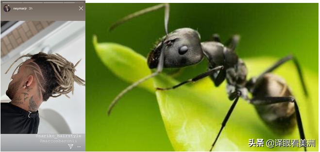 内马尔和梅西互相调侃,内马尔回应调侃梅西