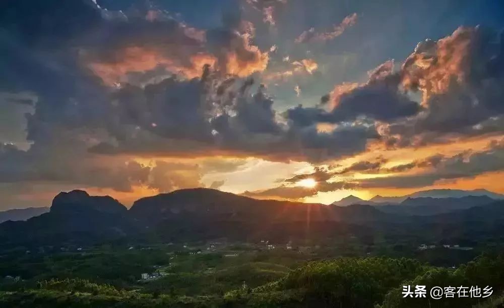 本港台播放过的动画,本港台曾经推出的纪录片