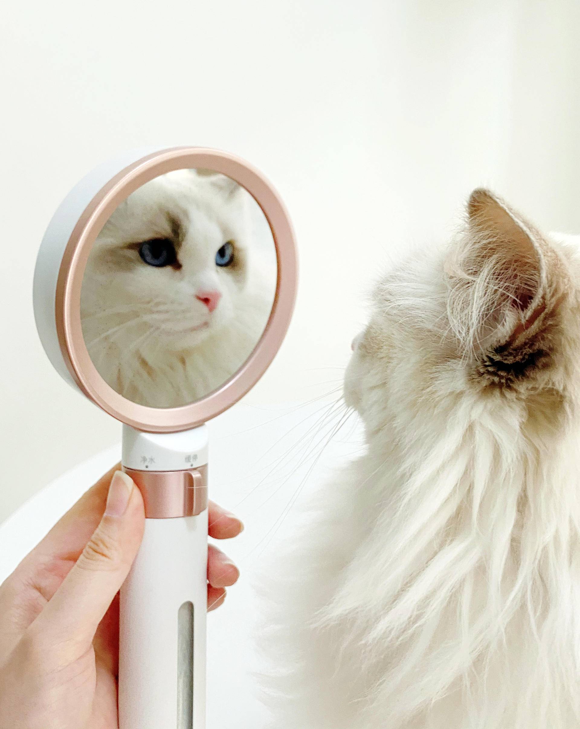 小米有品官方旗舰店花洒,小米增压花洒