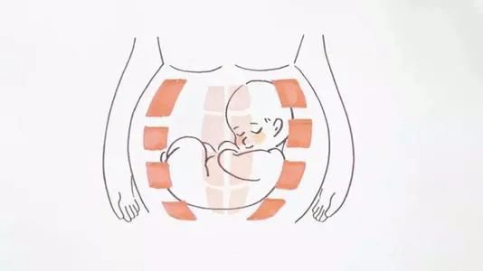 「爱禧课堂」生完孩子肚子还跟怀孕一样，原来是这样！