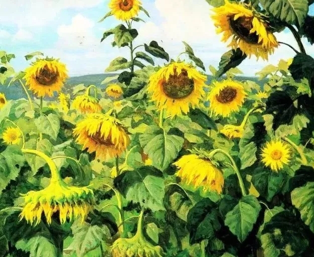 心中的卢浮宫,心中的大运河