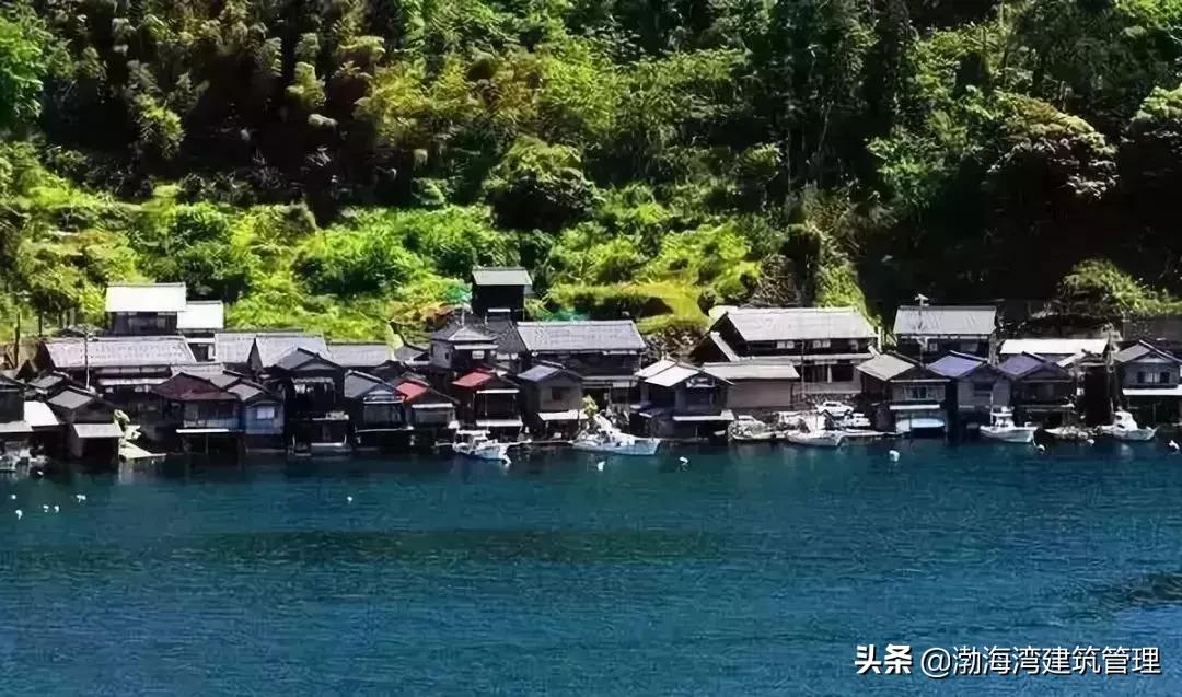 靠捡树叶年入千万的事儿，在日本这个小镇……