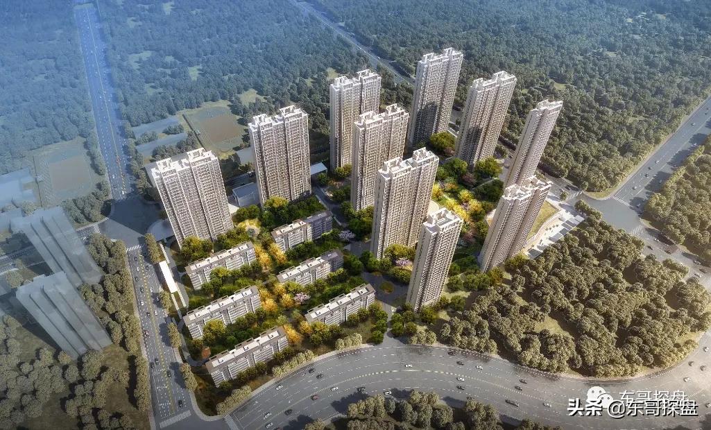 20年磨一剑，郑州又有本土房企要放大招？