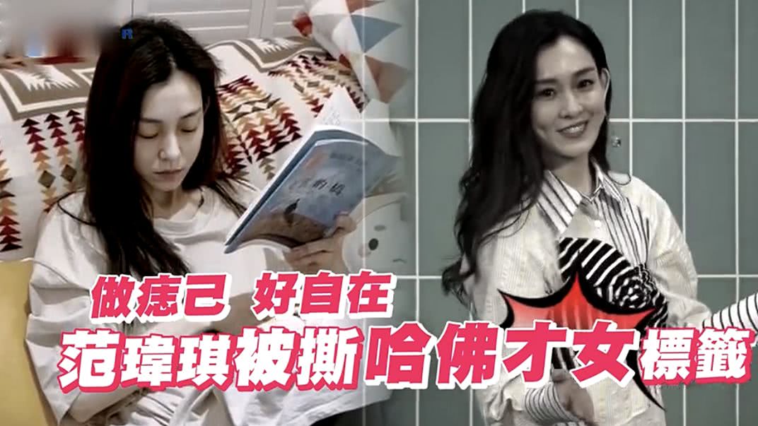 范玮琪两年前讲错什么话了,范玮琪以前的种种事情