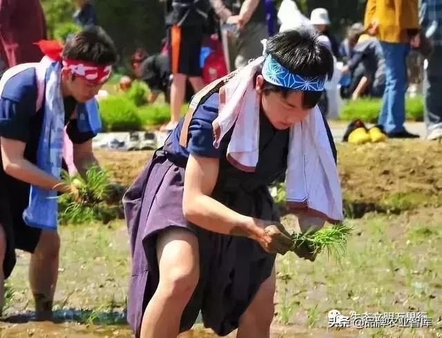 变态的日本农业:敬畏自然、超前思维、死磕单品!