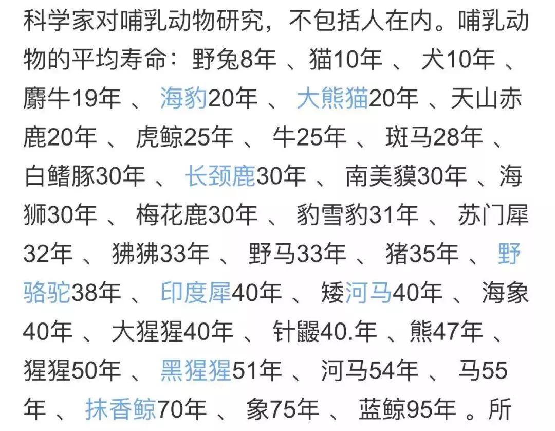 蝙蝠那么多病毒为什么不灭绝它,蝙蝠为什么是奇葩动物呢