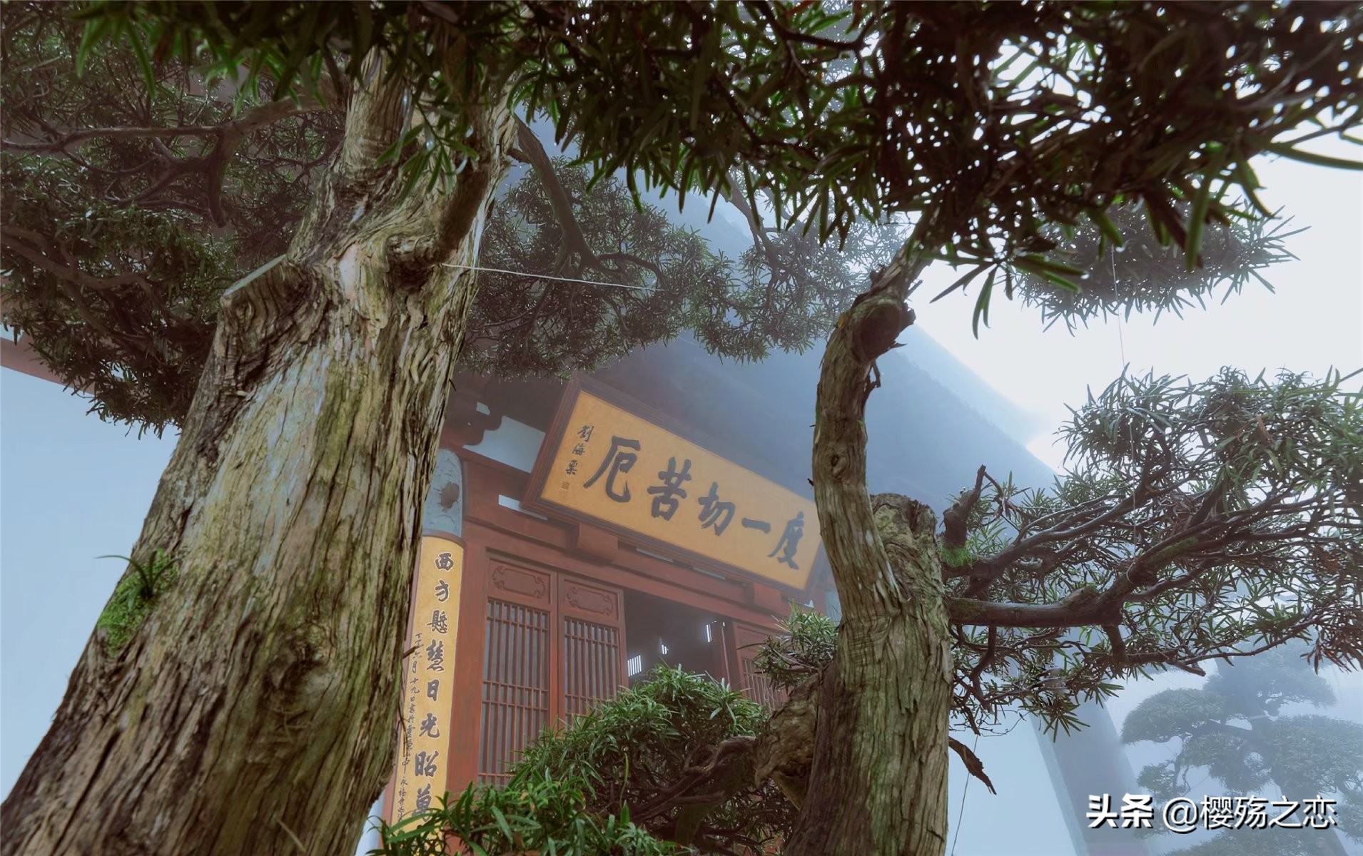 日本的千年古寺,中国十大千年古寺古刹