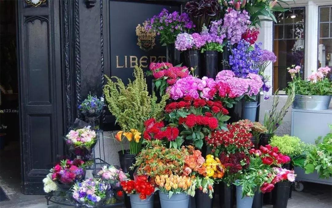 开花店怎么学技术,开花店零基础知识