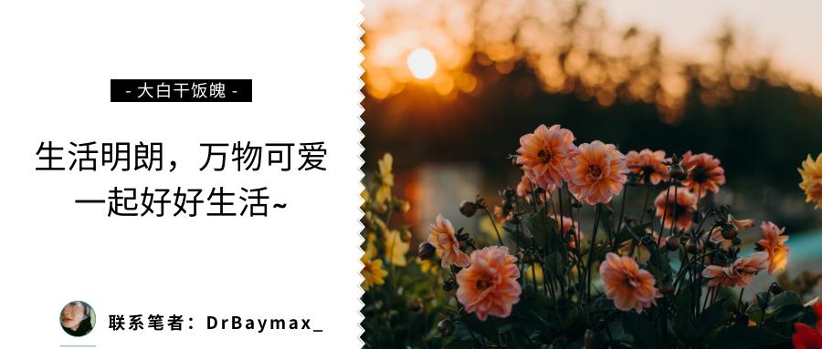 宜家必买的26种草,宜家好用的好物推荐