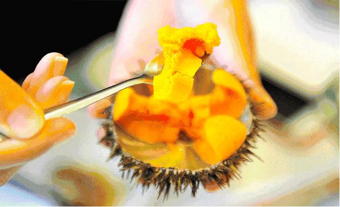 閲嶅ぇ鎻,鐧借壊娴疯儐鑲夎兘鍚冨悧