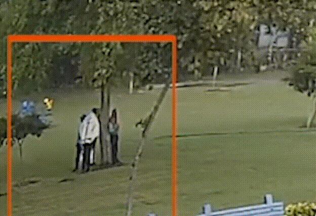 罗盘遇到怪事真的会受到干扰吗,哀牢山失踪人员有带罗盘吗