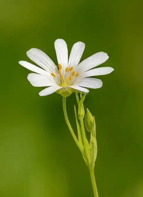 一年级语文下册1-4单元重点复习,部编版一年级下册语文知识点整理