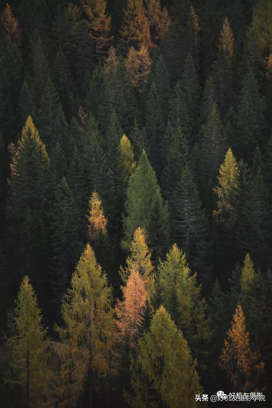 官大一级压死人吗,什么是底大一级压死人